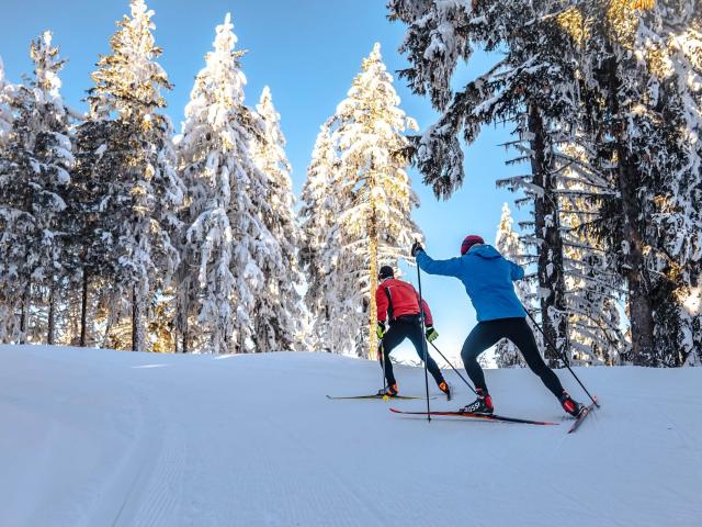 Noords skiën