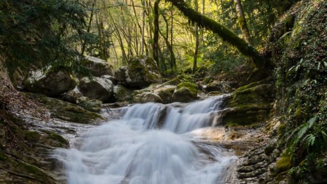 Cascade alloix