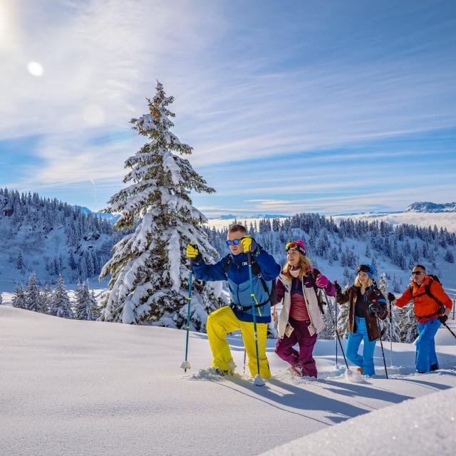 Sneeuwschoenwandelingen