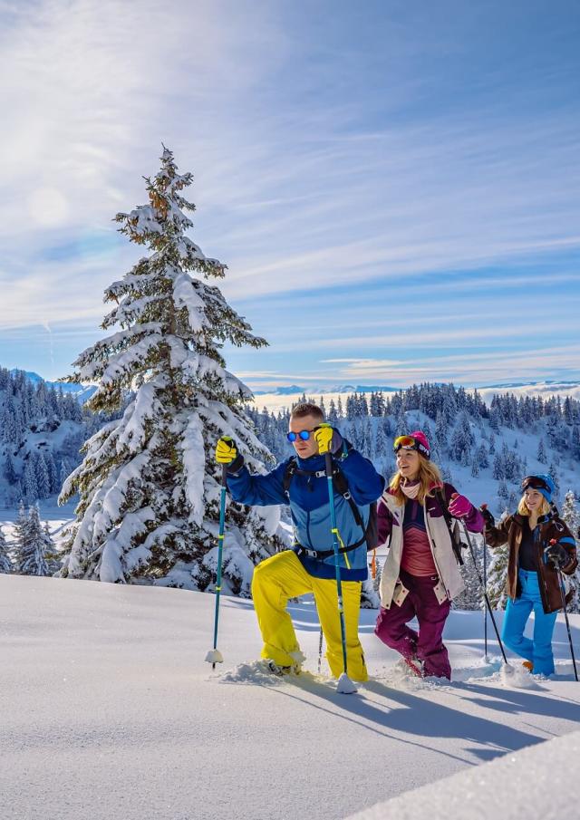 Sneeuwschoenwandelingen