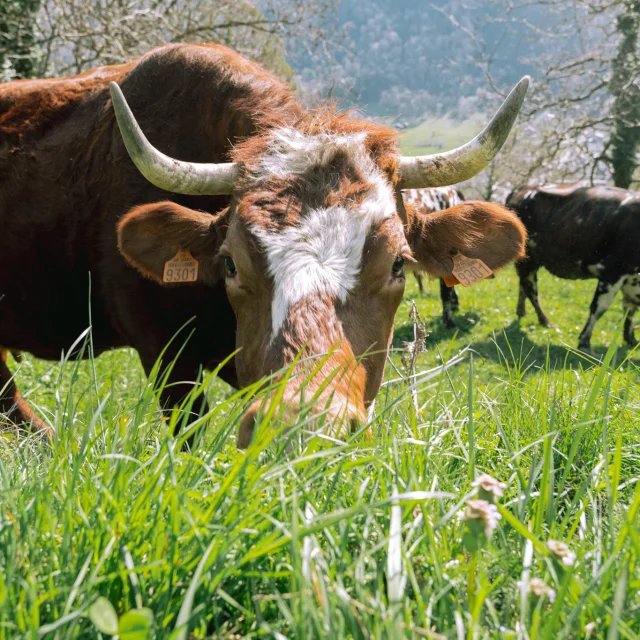 Allevard Randonnee 04042025 Marie El Hajal 01