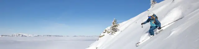 Ski de randonnée et poudreuse