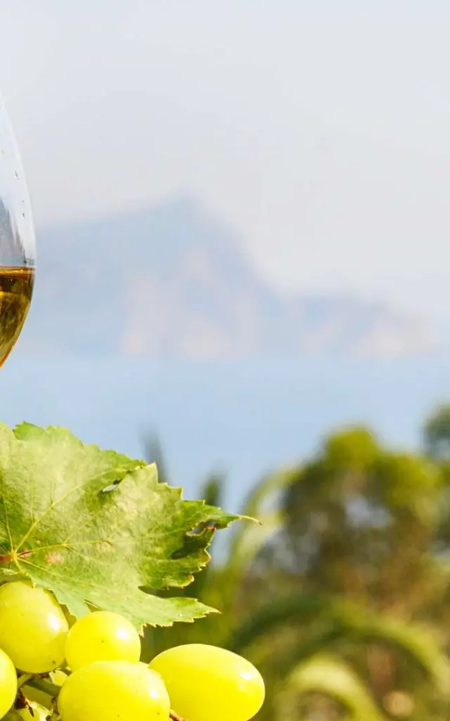 Vins, vignes et œnologie dans le Grésivaudan