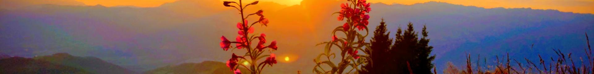 Coucher De Soleil à Bédina