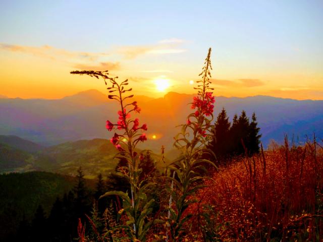 Coucher De Soleil à Bédina