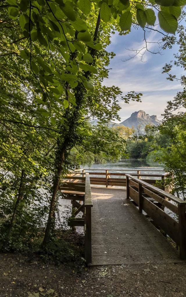 Espace naturel sensible de l'Isère, Commune de Saint-Ismier, bois de la Bâtie, forêt alluviale , plan d'eau, verger conservatoire et mares pédagogiques // Isère (38), sensitive natural area of the Isere, The Municipality of Saint-Ismier, bois de la Bâtie