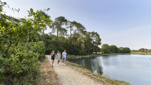 Familie bei einem Spaziergang auf den Wegen durch die Sümpfe der Anse du Petit Moulin, in der Nähe des Mer Blanche in Bénodet