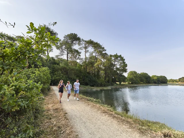 Famille en promenade sur les chemins des marais de l'Anse du Petit Moulin, près de la Mer Blanche à Bénodet