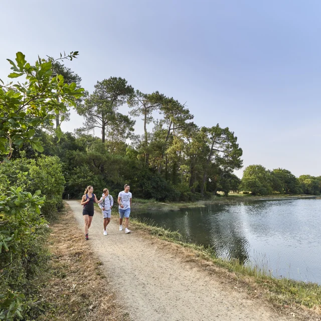 Famille en promenade sur les chemins des marais de l'Anse du Petit Moulin, près de la Mer Blanche à Bénodet