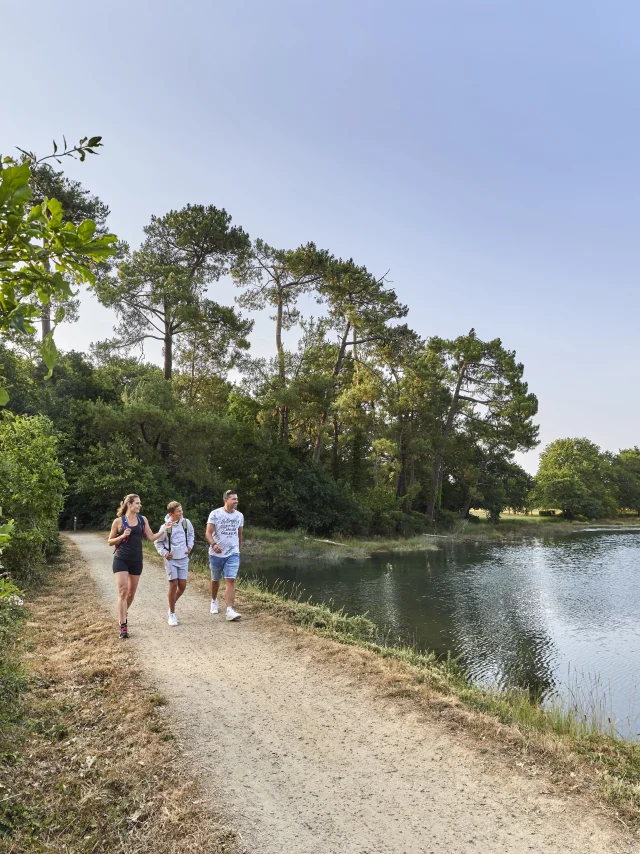 Famille en promenade sur les chemins des marais de l'Anse du Petit Moulin, près de la Mer Blanche à Bénodet