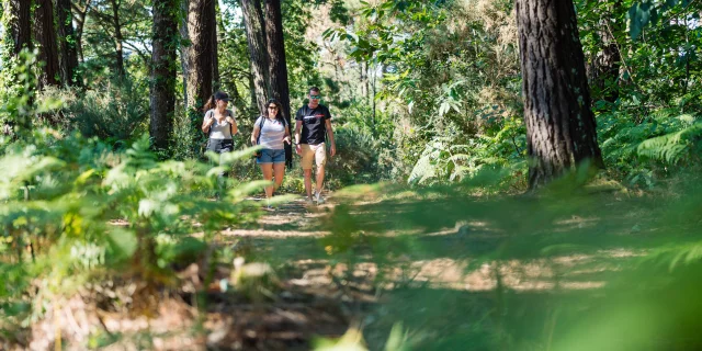 Drei Wanderer auf einem Spaziergang in der Anse du Petit Moulin