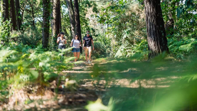 Drei Wanderer auf einem Spaziergang in der Anse du Petit Moulin