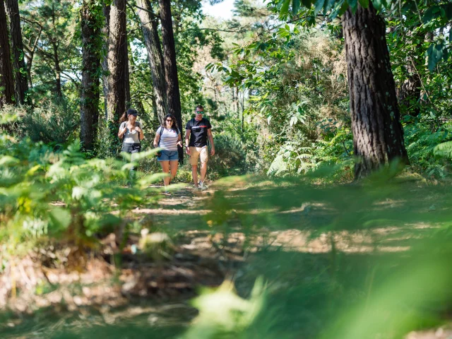 Trois promeneurs en balade dans l'Anse du Petit Moulin