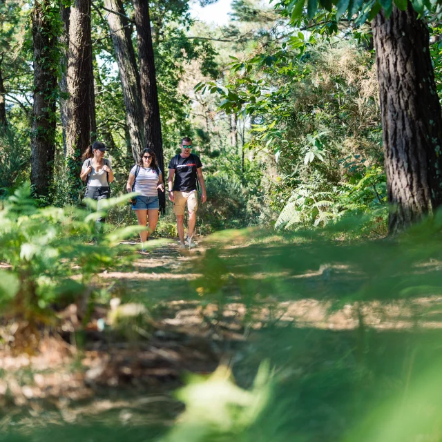 Drei Wanderer auf einem Spaziergang in der Anse du Petit Moulin