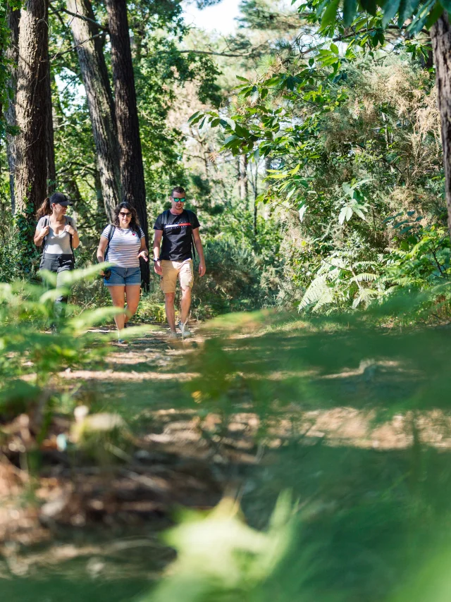 Drei Wanderer auf einem Spaziergang in der Anse du Petit Moulin