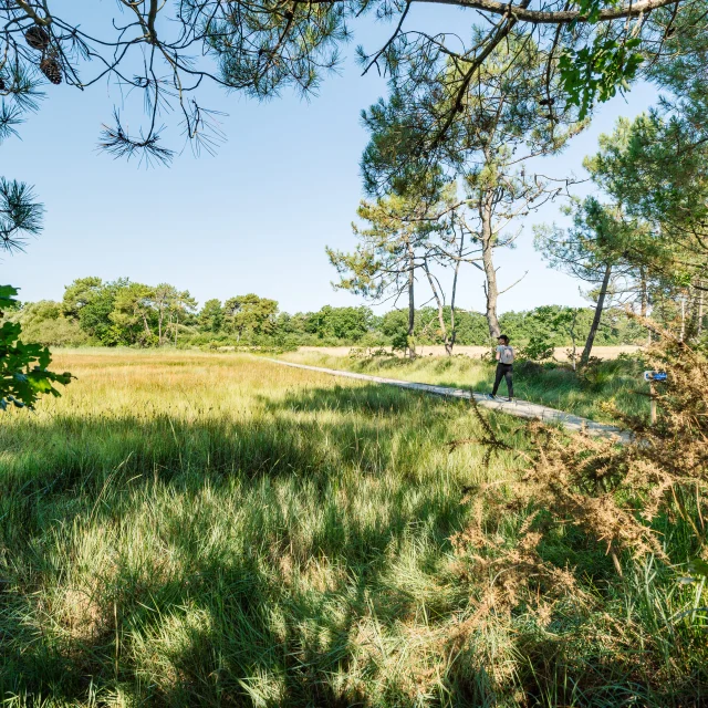 84 Sb Benodet Weg Nach Kerguell Marais De La Mer Blanche Kleine Mühle Hdjeremyjehanin 2024
