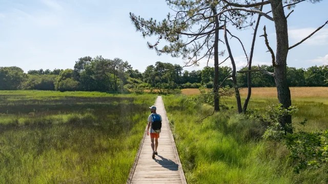 Spaziergänger in der Anse du Petit Moulin in den Marais de la Mer Blanche