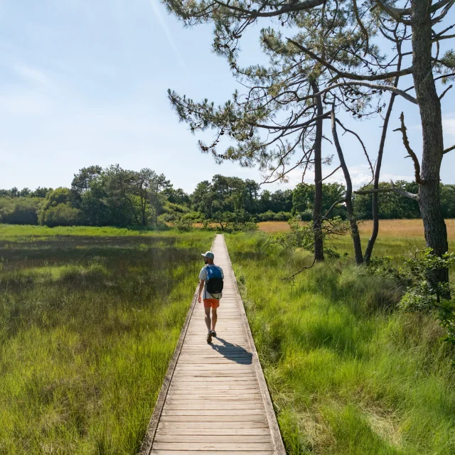Spaziergänger in der Anse du Petit Moulin in den Marais de la Mer Blanche