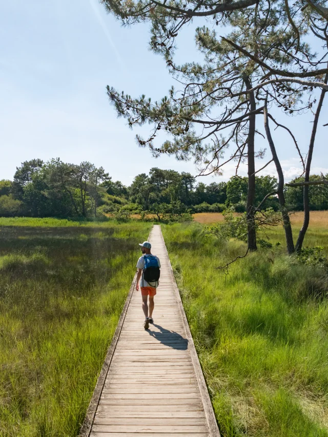 Promeneur dans l'Anse du Petit Moulin dans les Marais de la Mer Blanche