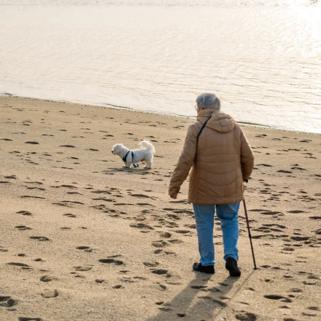 Bichon en promenade avec sa maîtresse sur la Plage du Coq
