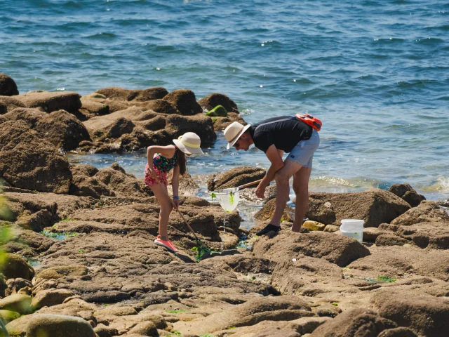 Pêche à pieds à la Pointe Saint-Gilles