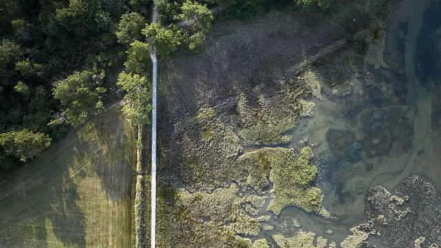 Luftaufnahme des Stegs über den Anse du Petit Moulin