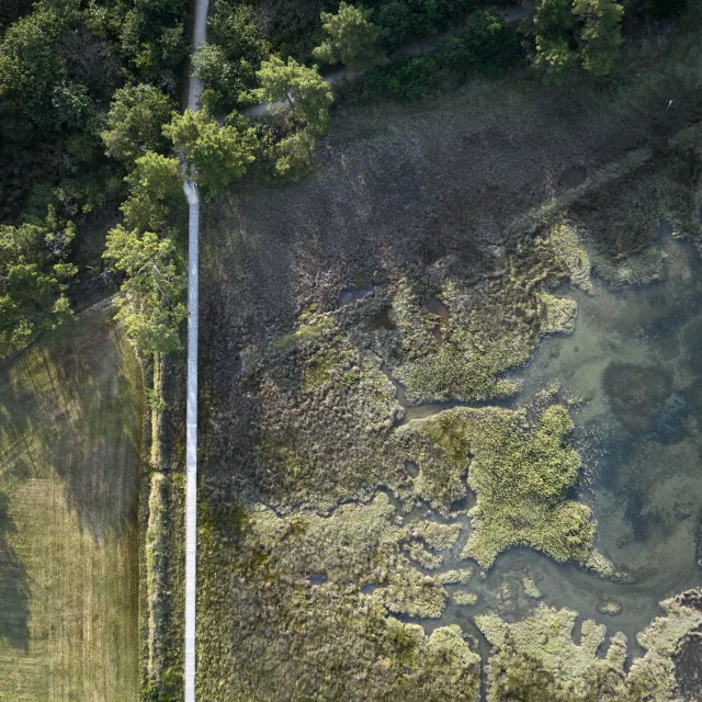 Luftaufnahme des Stegs über den Anse du Petit Moulin