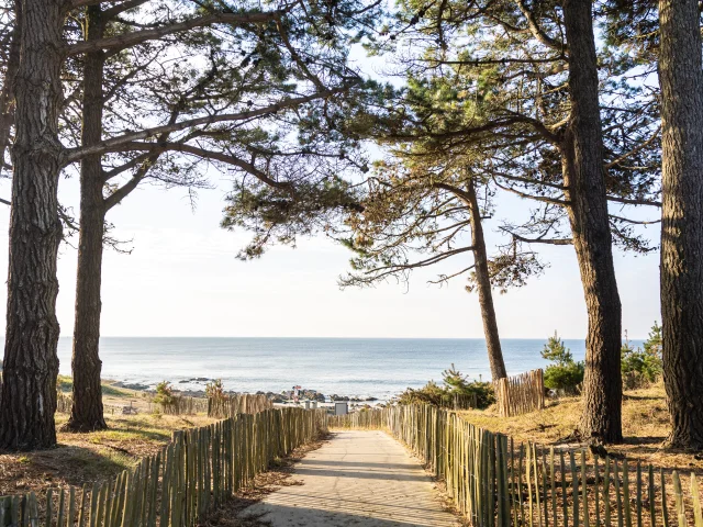 Chemin qui mène à la Plage de la Pointe-Saint-Gilles