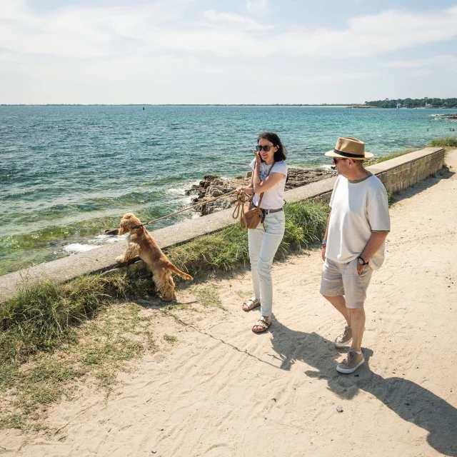 Balade canine sur la Pointe de Groasguen