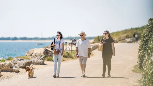 Hundespaziergang auf der Pointe de Groasguen