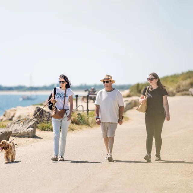 Hundespaziergang auf der Pointe de Groasguen