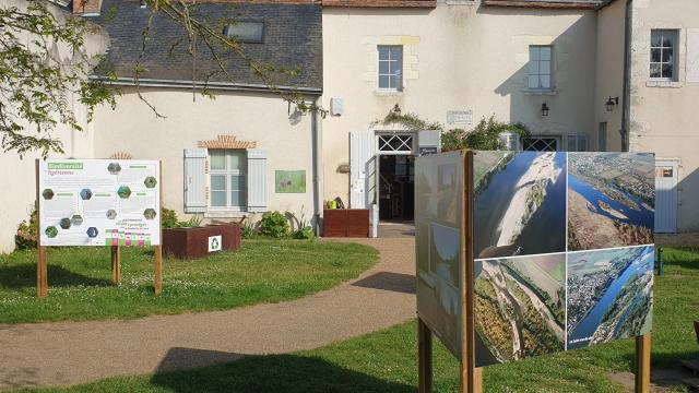 Maison de la Loire _la cour