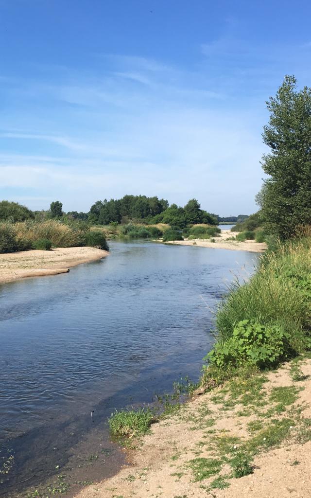 Bras De Loire Vu De L'île