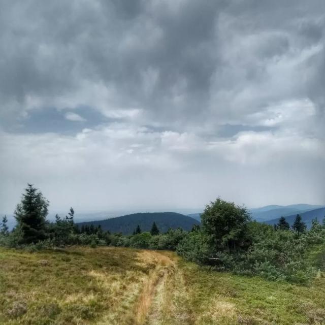 Instagram #loire