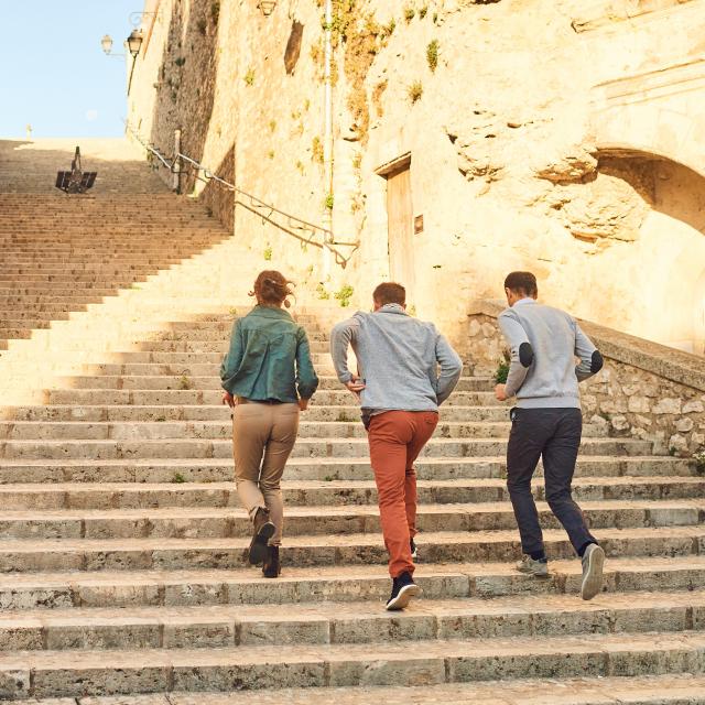 Les Grands Degrés du Château