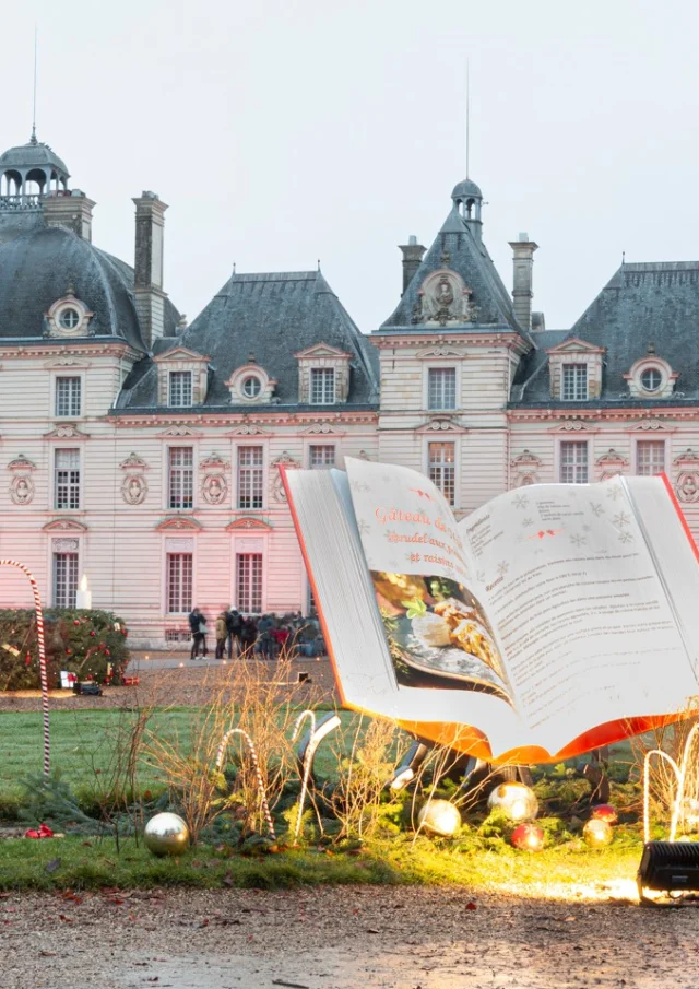 ChateaudeCheverny-Noel2021-5@P.Hutteau.jpg