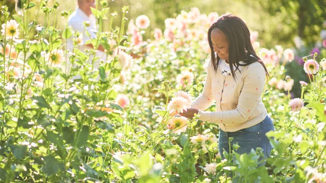 Balade dans le Domaine de Chaumont-sur-Loire