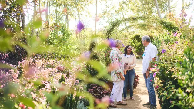 Balade dans le Domaine de Chaumont-sur-Loire