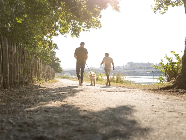 Balade au port de la Creusille