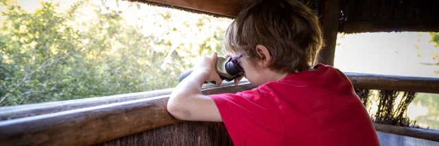 Observation à Chambord