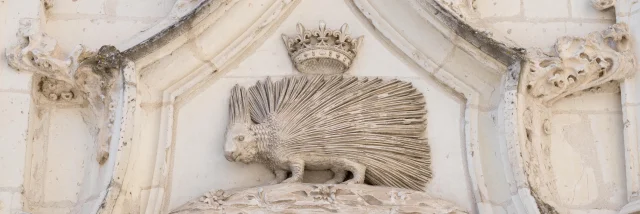 Porc Epic De Louis Xii Chateau Royal De Blois C F. Christophe 5