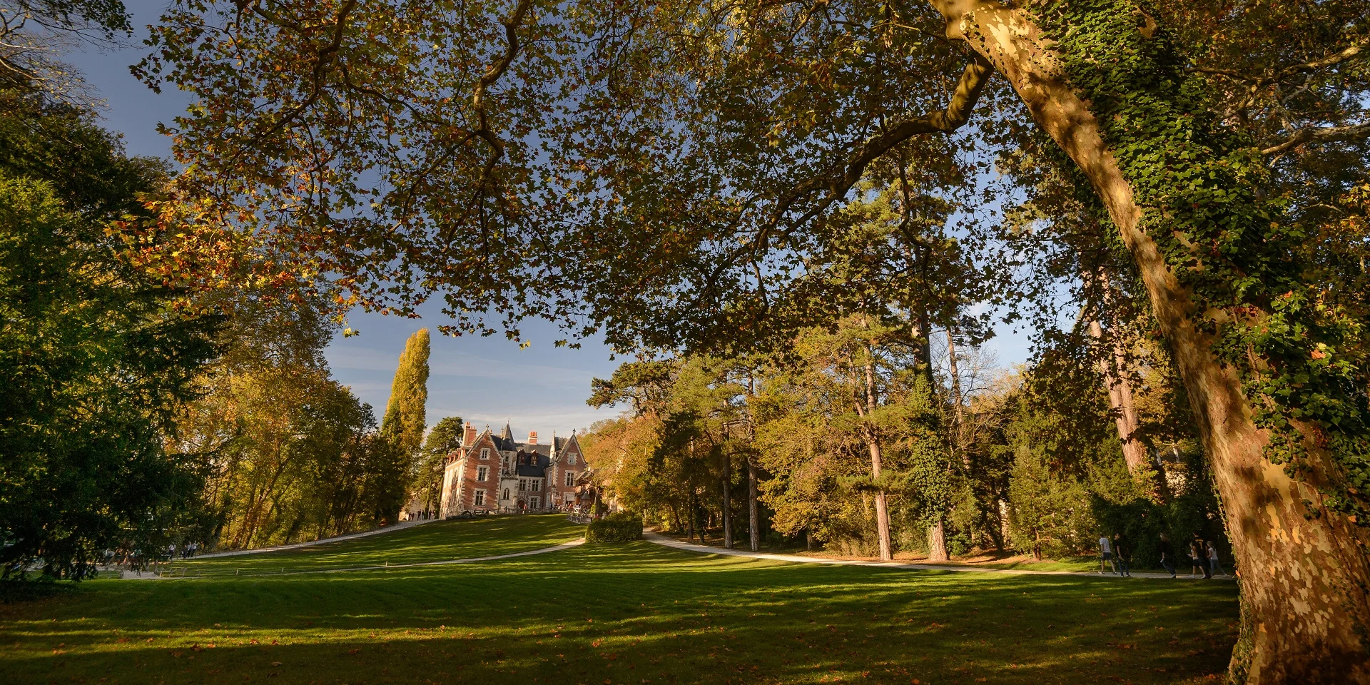 Otoño Chateau Du Clos Luce Leonard De Serres 3
