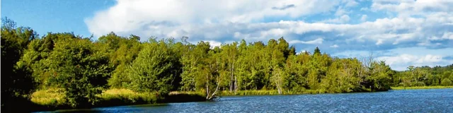 Das Schwarze Gold Der Sologne 1558697839