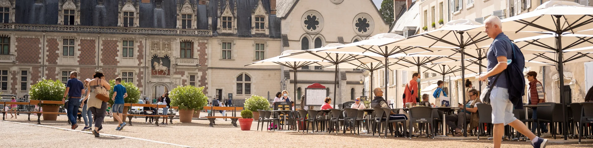 Place Du Chateau De Blois Whoisreno