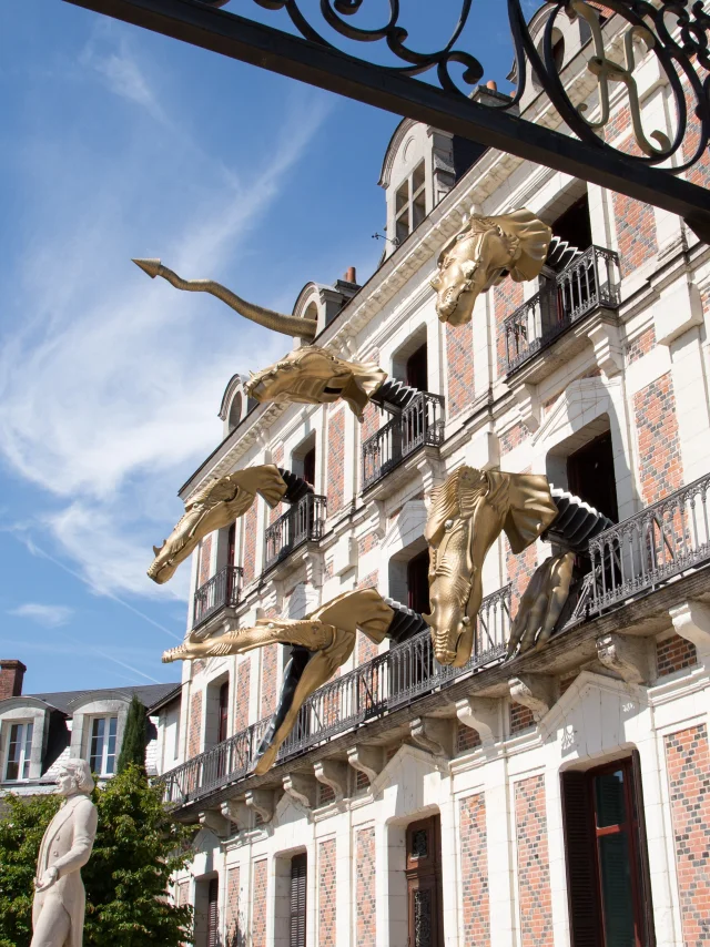 Maison De La Magie
