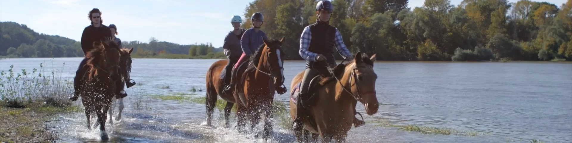 Loire horse