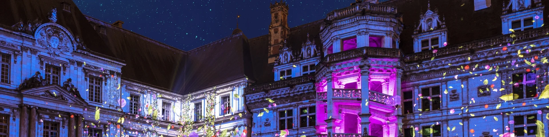 Am Mittwoch, dem 06. April 2022, findet in Blois im Königsschloss vom Schlosshof aus eine Ton- und Lichtshow über die tausendjährige Geschichte des Königsschlosses von Blois statt.