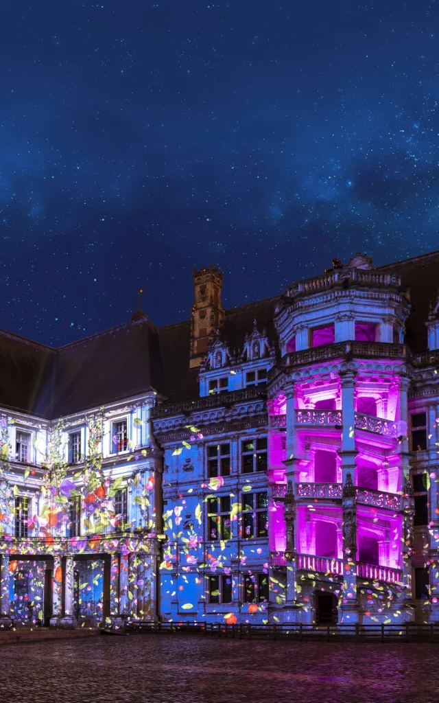 Am Mittwoch, dem 06. April 2022, findet in Blois im Königsschloss vom Schlosshof aus eine Ton- und Lichtshow über die tausendjährige Geschichte des Königsschlosses von Blois statt.