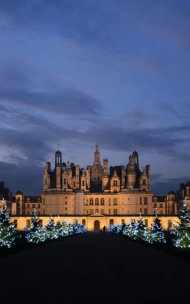 Noel A Chambord, sapins illuminés