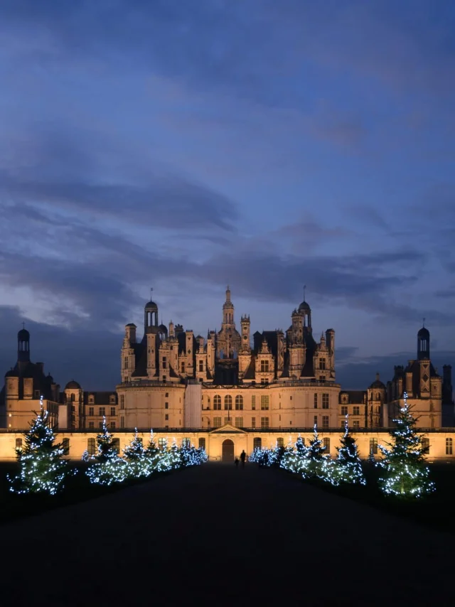 Noel A Chambord, sapins illuminés